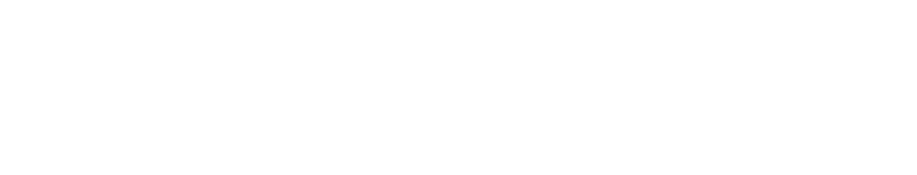 Spinzwin logo
